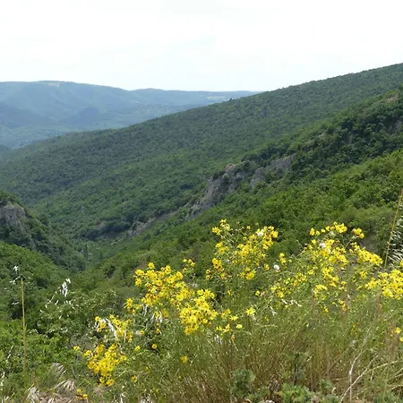 La Maison De Domi Tatil Evi *