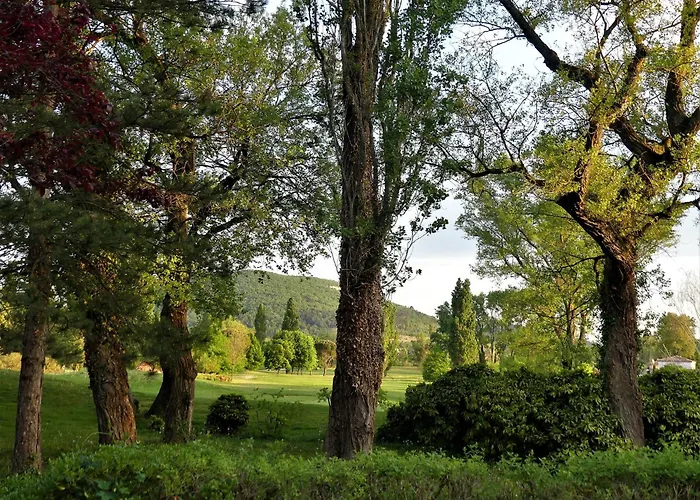 La Maison De Domi Hébergement de vacances *